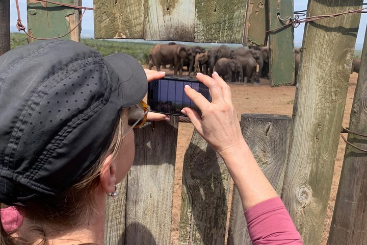 Addo Elephant National Park Private Tour