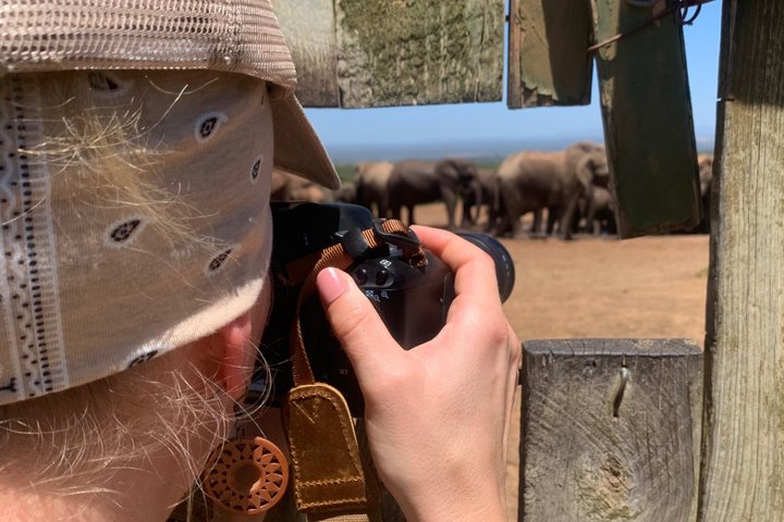 Addo Elephant National Park Private Tour