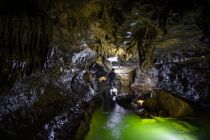 Okohua Glowworm Cave Tour