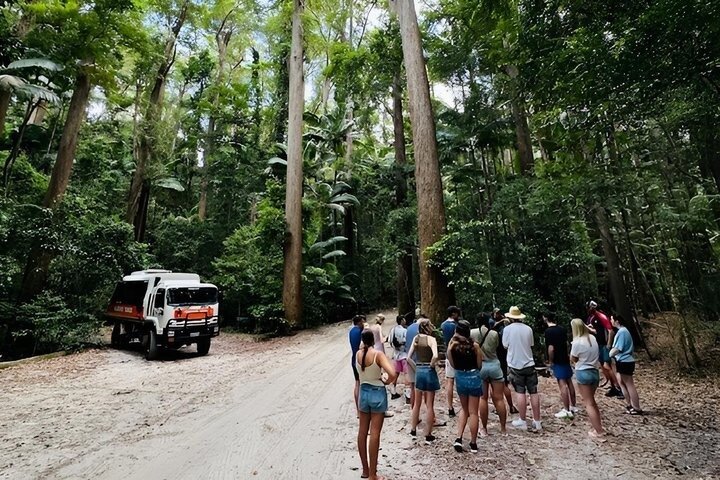 Kgari or Fraser Island Adventure Tour Ex Rainbow Beach