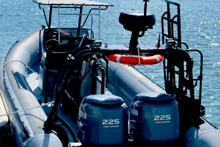 Whale Watching Tour - Fast Boat