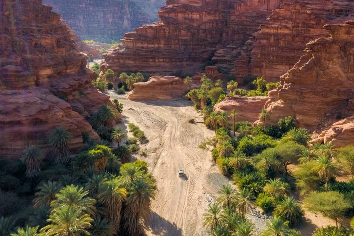 From AlUla: Wadi Al Disah Canyon Adventure
