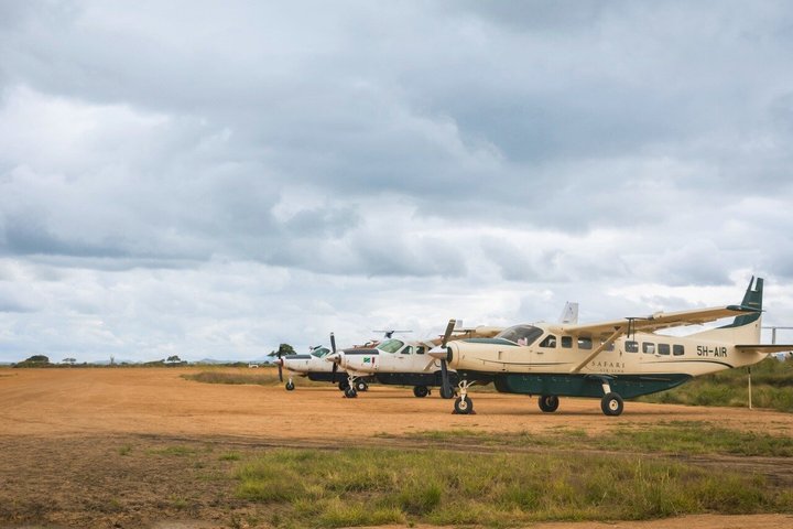 From Zanzibar: Mikumi 1-Day Safari with Scenic Flight & Lunch