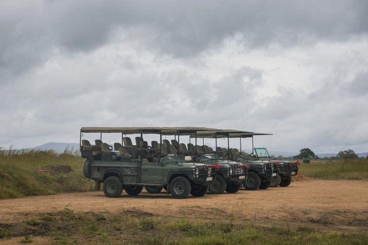 From Zanzibar: Mikumi 1-Day Safari with Scenic Flight & Lunch