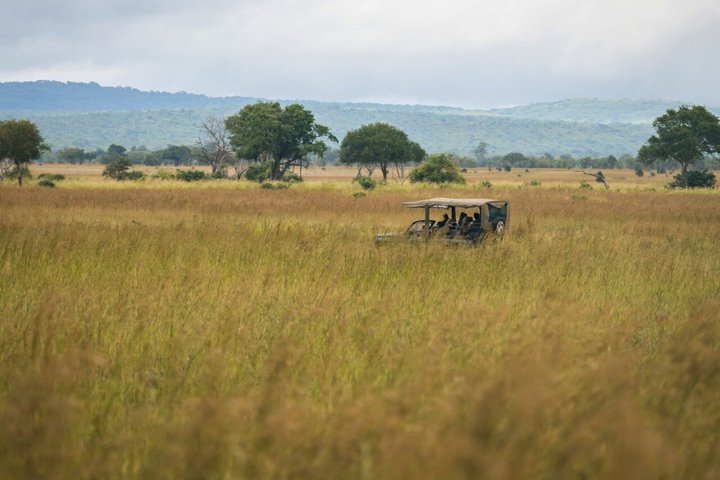 From Zanzibar: Mikumi 1-Day Safari with Scenic Flight & Lunch