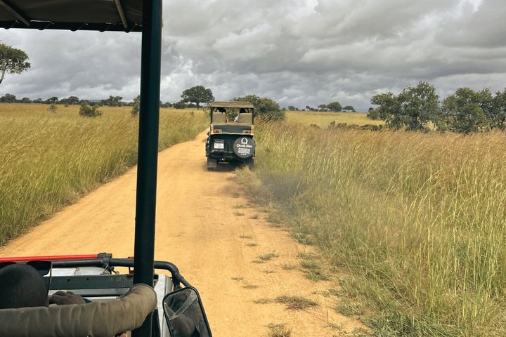 From Zanzibar: Mikumi 1-Day Safari with Scenic Flight & Lunch