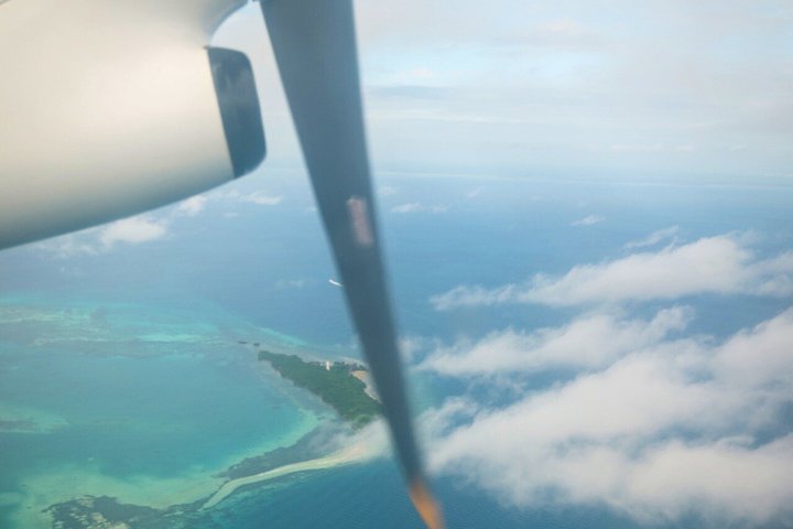 From Zanzibar: Mikumi 1-Day Safari with Scenic Flight & Lunch
