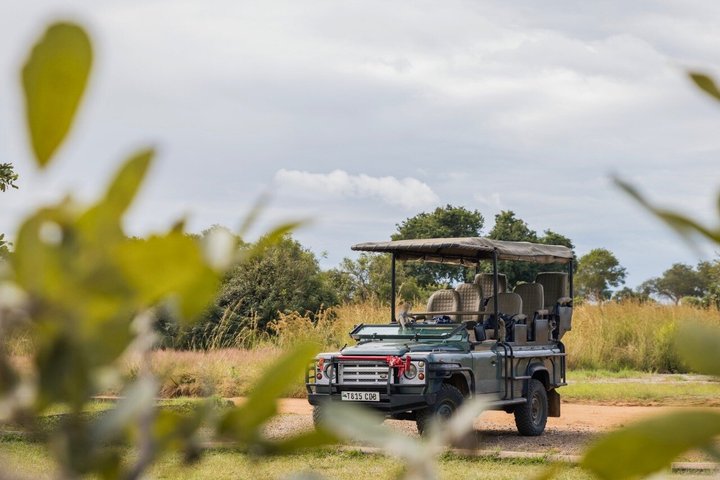 From Zanzibar: Mikumi 1-Day Safari with Scenic Flight & Lunch