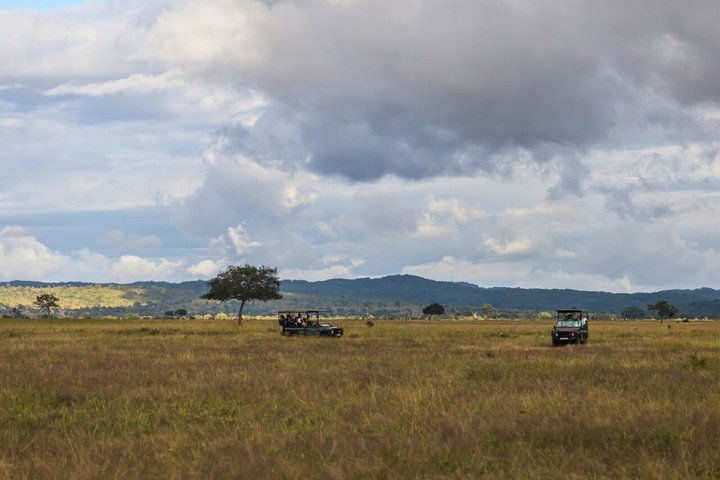 From Zanzibar: Mikumi 1-Day Safari with Scenic Flight & Lunch