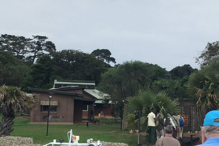 Ngamba Island Chimpanzee Experience, Entebbe and Victoria Tour