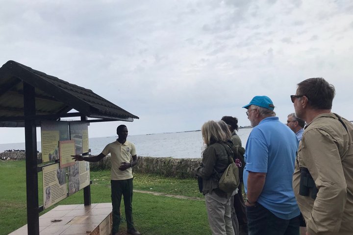 Ngamba Island Chimpanzee Experience, Entebbe and Victoria Tour