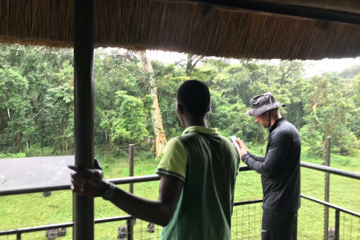 Ngamba Island Chimpanzee Experience, Entebbe and Victoria Tour