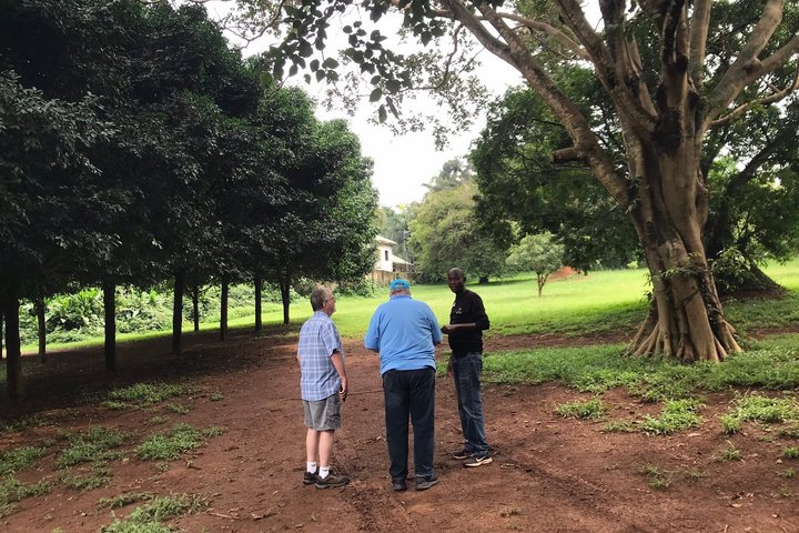 Ngamba Island Chimpanzee Experience, Entebbe and Victoria Tour