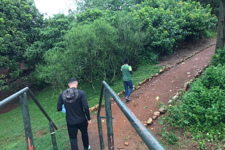 Ngamba Island Chimpanzee Experience, Entebbe and Victoria Tour