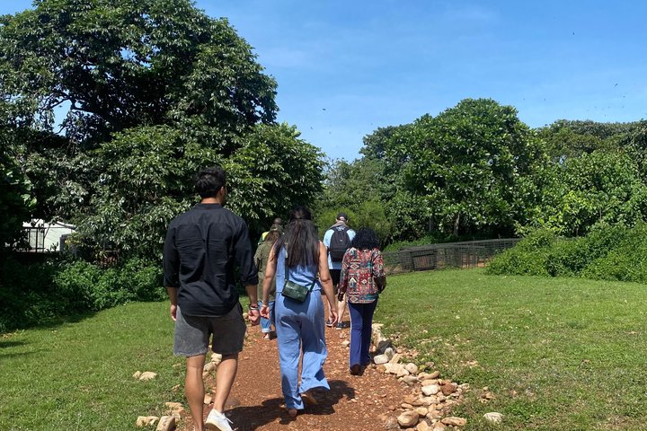 Ngamba Island Chimpanzee Experience, Entebbe and Victoria Tour