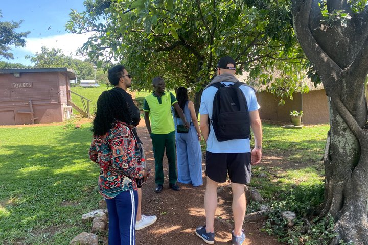 Ngamba Island Chimpanzee Experience, Entebbe and Victoria Tour