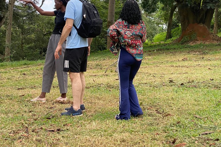 Ngamba Island Chimpanzee Experience, Entebbe and Victoria Tour