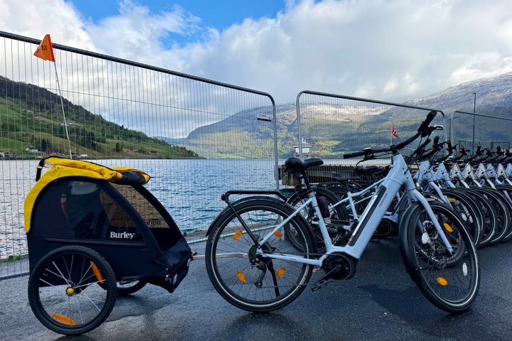 Olden: E-Bike Rental - Explore Norway's Fjords