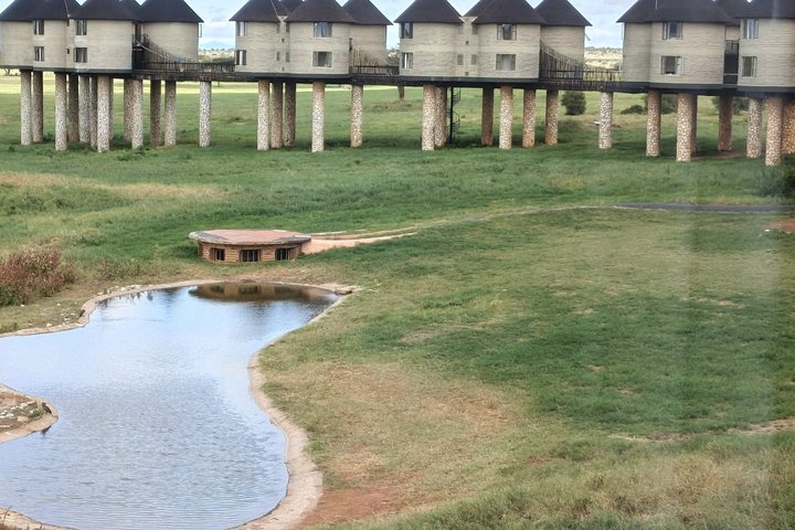 Tsavo East & Taita Salt Lick Lodge: 3-Day Guided Safari Adventure