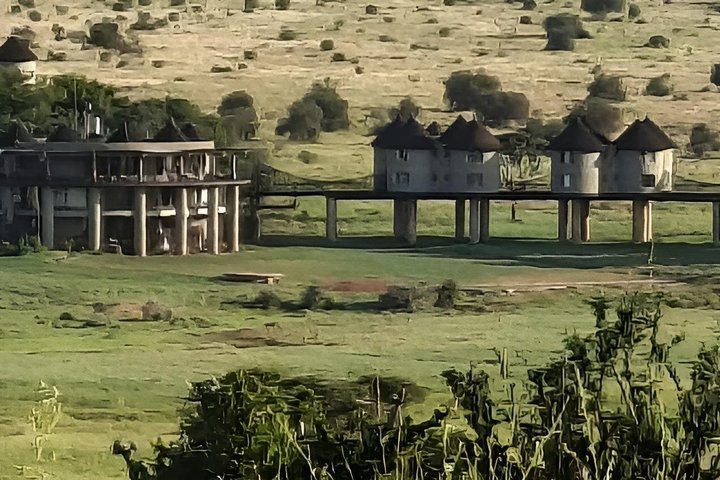 Tsavo East & Taita Salt Lick Lodge: 3-Day Guided Safari Adventure