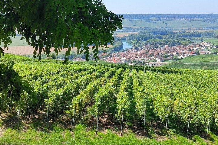 Champagne Day Trip from Reims including 9 Champagne Tastings