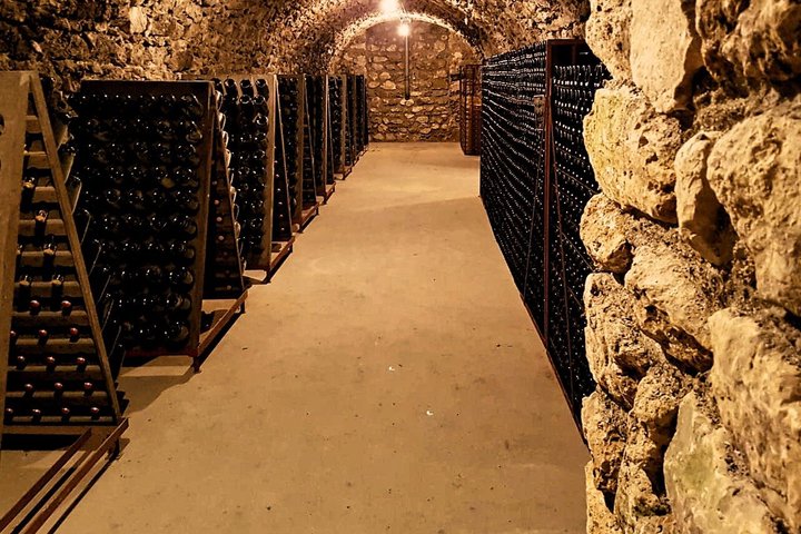 Champagne Day Trip from Reims including 9 Champagne Tastings