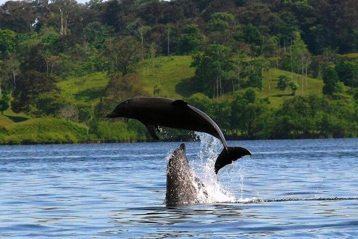 Bocas del Toro Catamaran Day Tour with Sail Snorkel and Lunch