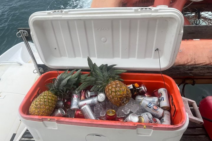 Bocas del Toro Catamaran Day Tour with Sail Snorkel and Lunch