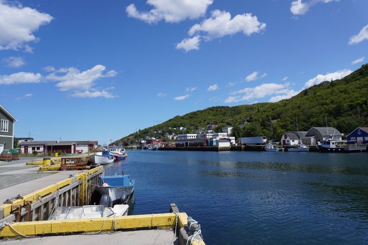 Zipline Adventure Tour Over the Coastline of Petty Harbour