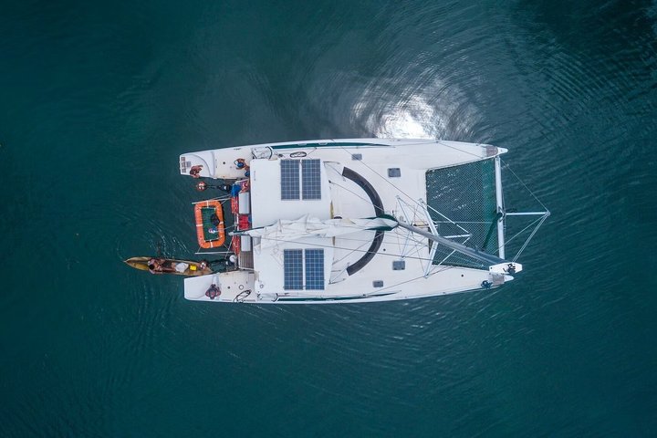 Bocas del Toro Catamaran Day Tour with Sail Snorkel and Lunch