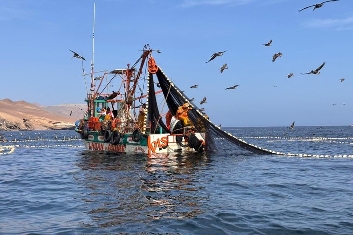 Paracas & Huacachina Day Trip from Lima with Sunset Experience