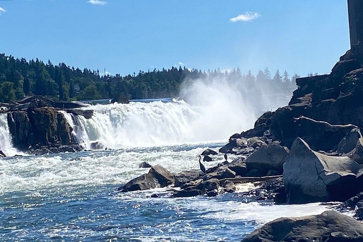 Scenic 2-Hour River Cruise to the Willamette Falls!