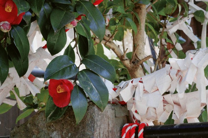 Kurokawa Onsen Private History and Culture Walk