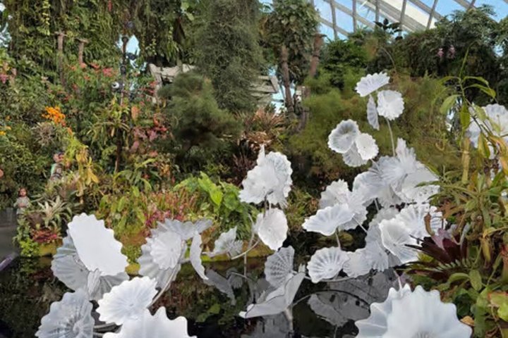 Singapore OCBC Skyway Flower dome Cloud Forest Garden by the Bay