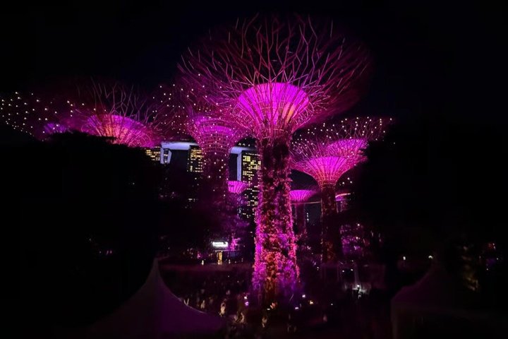 Singapore OCBC Skyway Flower dome Cloud Forest Garden by the Bay