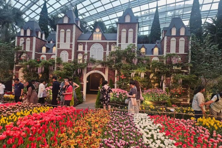 Singapore OCBC Skyway Flower dome Cloud Forest Garden by the Bay