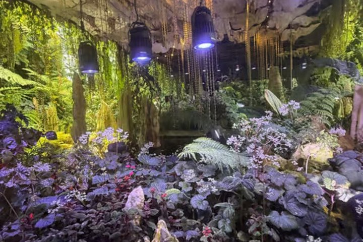 Singapore OCBC Skyway Flower dome Cloud Forest Garden by the Bay
