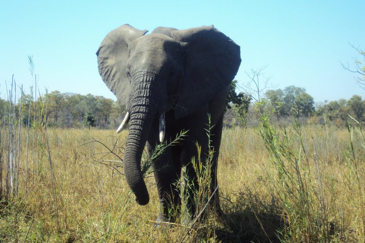 Northern Malawi Wildlife and Lake Safari 7 Days Adventure Tour