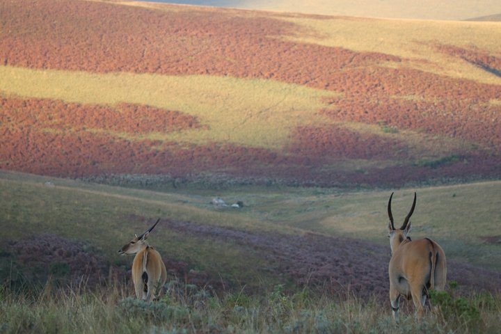 Northern Malawi Wildlife and Lake Safari 7 Days Adventure Tour