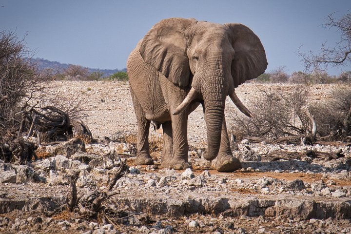 Northern Malawi Wildlife and Lake Safari 7 Days Adventure Tour