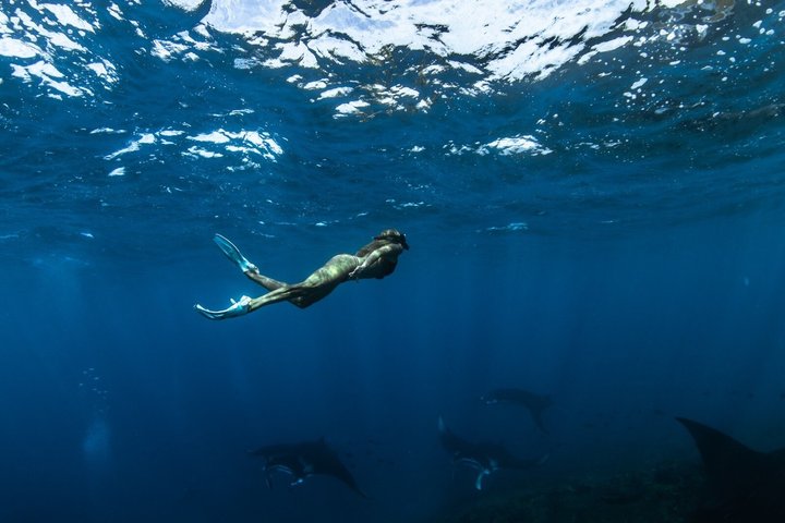 Bali to Nusa Penida Premium Private Full Day Tour All Inclusive