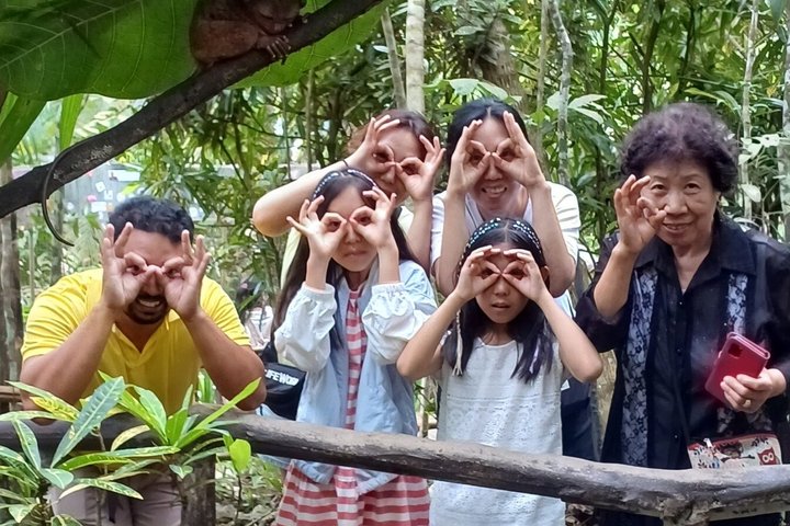 Bohol Premium Private Tour: Chocolate Hills & Tarsier Experience