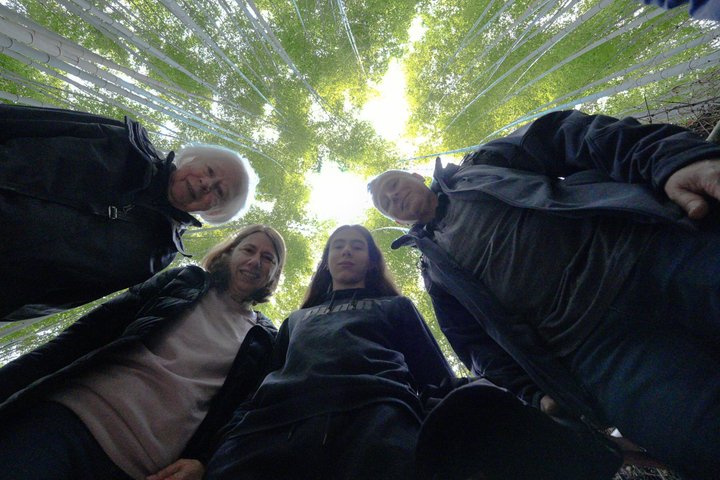 Arashiyama & Nara Highlights: One-Day Private Tour Adventure