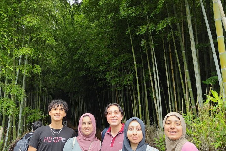 Arashiyama & Nara Highlights: One-Day Private Tour Adventure