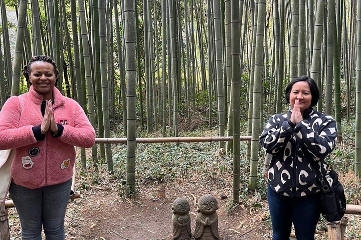 Arashiyama & Nara Highlights: One-Day Private Tour Adventure