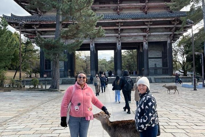 Arashiyama & Nara Highlights: One-Day Private Tour Adventure