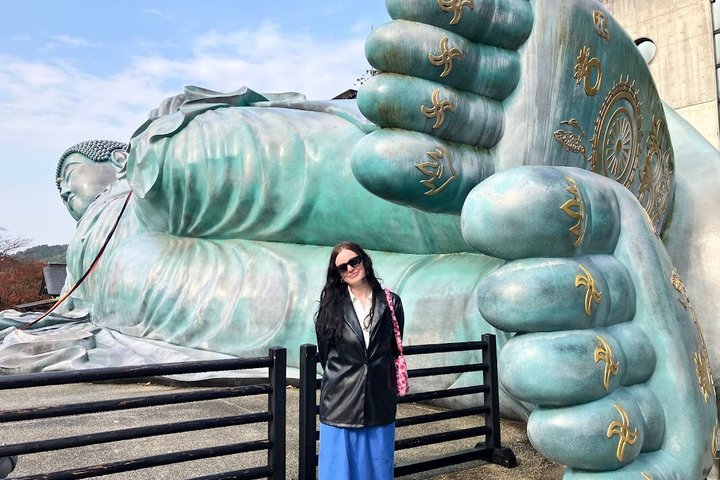 Hakata Shore Excursion: Customized Car Tour, Licensed Guide