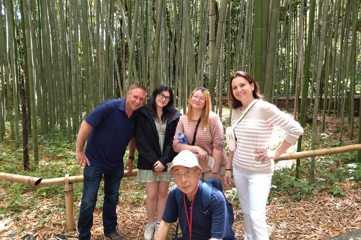 Private Customized 3 Full Days Tour Package: Discover Kyoto, Arashiyama and Nara