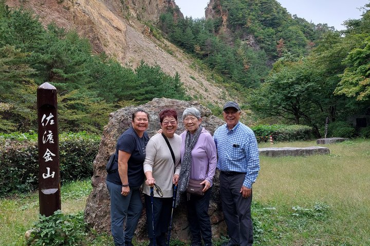 Niigata Shore Excursion: Custom Car Tour, Licensed Guide