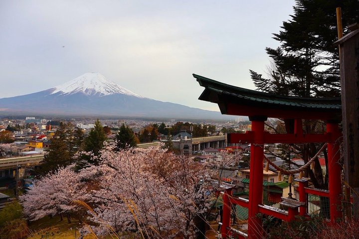 Lake Kawaguchi : Private Half Day Customized Tour w/ local guide